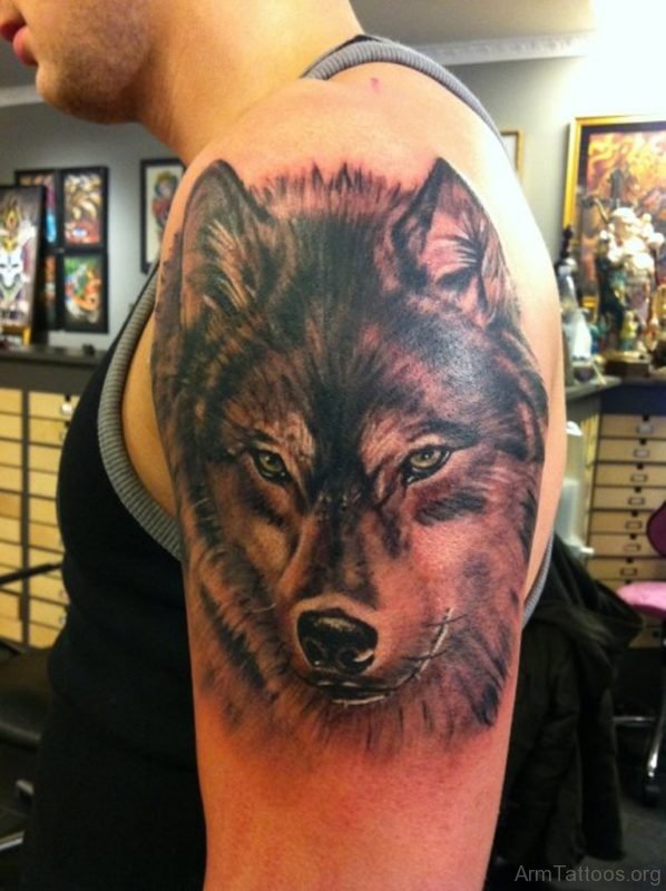 Wolf Tattoo Design On shoulder