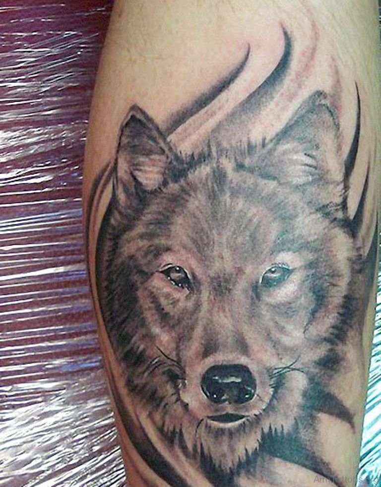 70 Brilliant Wolf Tattoos For Arm.
