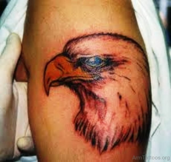 Awesome Eagle Head Tattoo On Arm