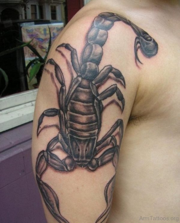 Wonderful Scorpion Tattoo 