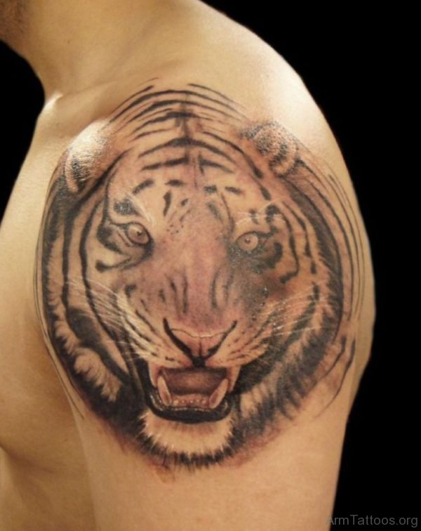 Wonderful Tiger Tattoo Design