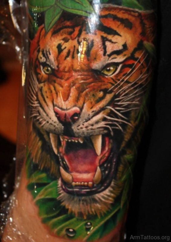 Wonderful Tiger Tattoo On Arm