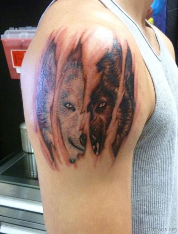 RIpped Skin Wolf Tattoo On Right Shoulder